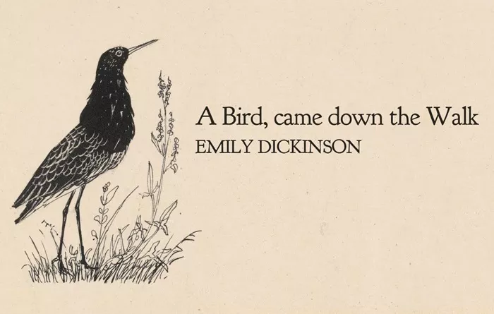 A Bird Came Down the Walk by Emily Dickinson