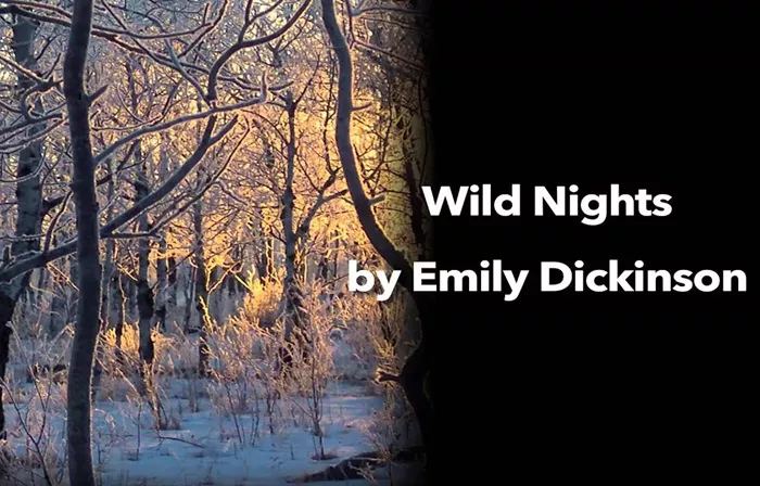 Wild Nights – Wild Nights! by Emily Dickinson